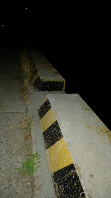 漁業権の設定されていないエリアでのタコ釣り